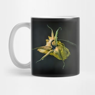 Bloom#2 Mug